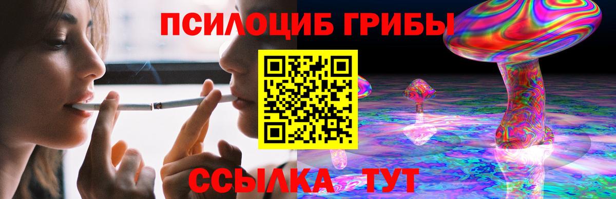 Галлюциногенные грибы Cubensis  Вход с VPN  Саянск 
